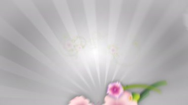 花朵花藤生长鲜花银光芒射线动态特效视频素材