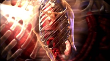 人体骨骼内脏医学教学视频素材