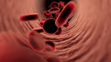 血管壁血液细胞血小板微观世界放大视频素材
