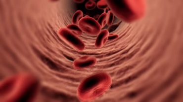 血管壁血液细胞血小板微观世界放大视频素材
