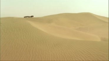 沙漠沙丘骆驼运输队视频素材