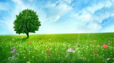 卡通童话小清新绿地草原绿树蓝天白云大自然视频素材