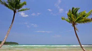 海边沙滩海滩椰子树海水海浪蓝天白云连成一片视频素材