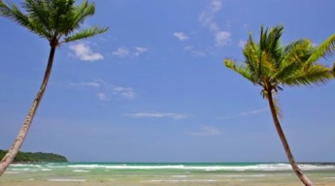 海边沙滩海滩椰子树海水海浪蓝天白云连成一片视频素材