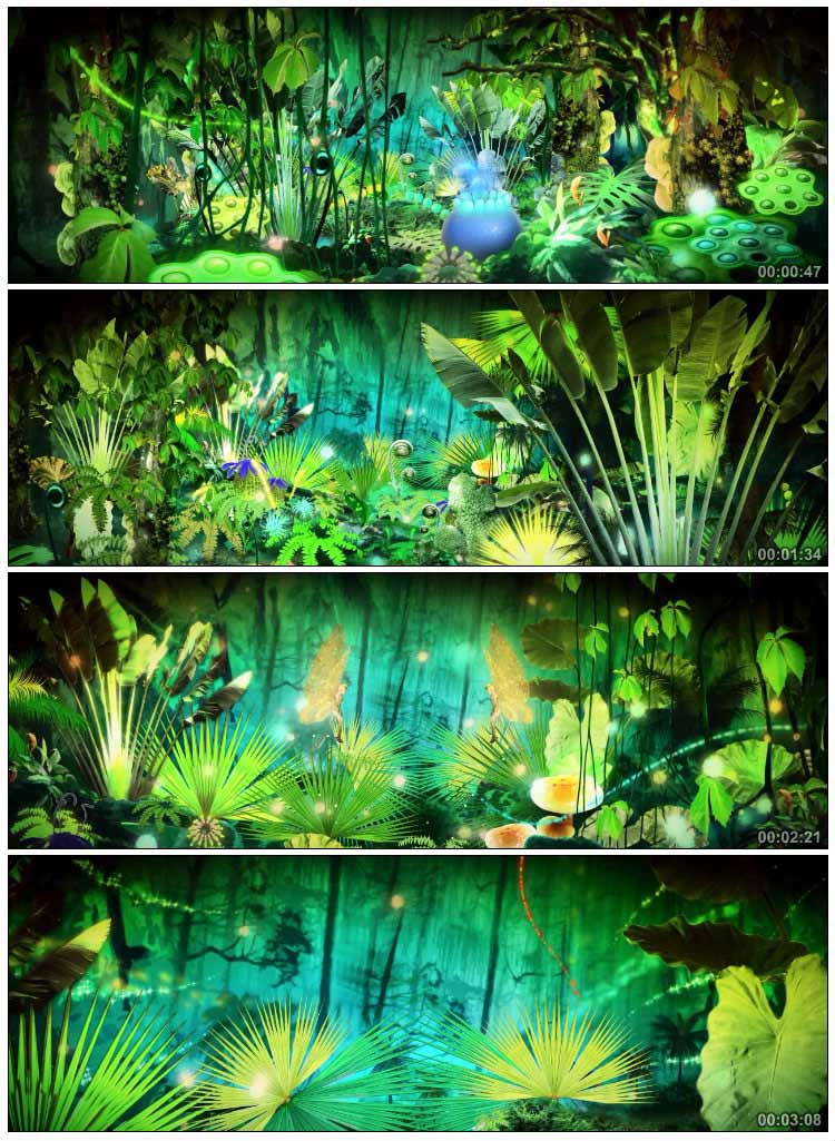 热带雨林梦幻树林童话森林视频素材