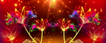 梦幻粒子绚丽花朵舞台背景视频素材
