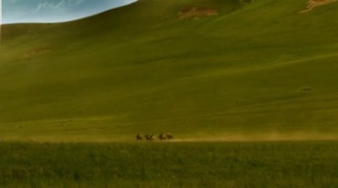 蒙古大草原学生运动会赛马策马奔腾视频素材