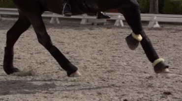 马匹奔跑时马脚马蹄特写镜头视频素材