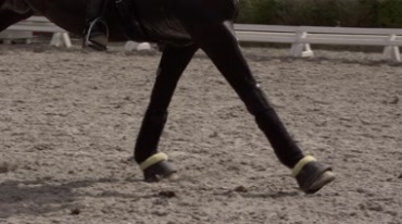 马匹奔跑时马脚马蹄特写镜头视频素材