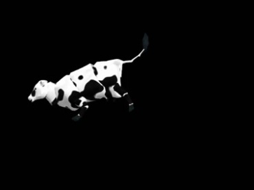 黑白奶牛跳跃黑屏抠像特效视频素材