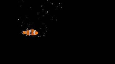 彩色水族观赏鱼游动黑屏抠像视频素材