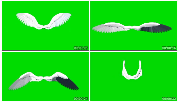 婚庆天使翅膀绿屏抠像特效视频素材