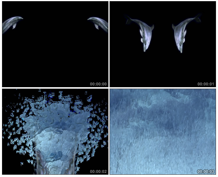 海豚嬉戏跳水表演溅起水花黑屏抠像特效视频素材