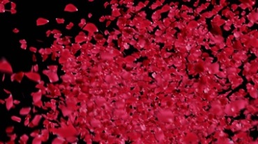 玫瑰花瓣从空中洒下黑屏通道抠像视频素材