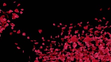 玫瑰花瓣从空中洒下黑屏通道抠像视频素材