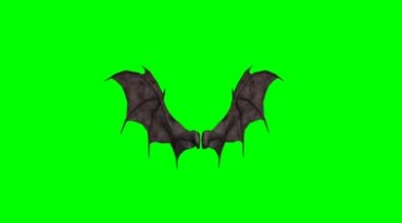 蝙蝠翅膀摆动特效绿屏抠像视频素材