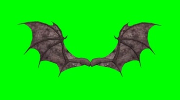 蝙蝠翅膀摆动特效绿屏抠像视频素材