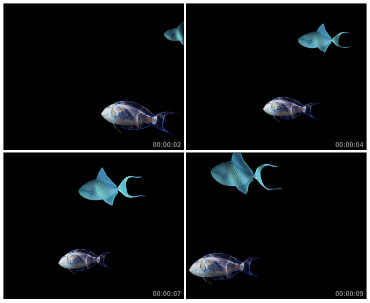 海底世界小鱼游动黑屏遮罩视频素材