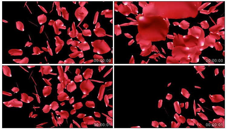 红色玫瑰花瓣黑幕通道抠像特效视频素材