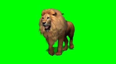 雄狮狮王走路姿态绿屏抠像特效视频素材