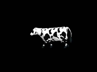 奶牛行走黑屏抠像特效视频素材