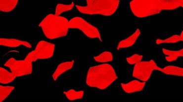 红色花瓣黑屏抠像特效视频素材