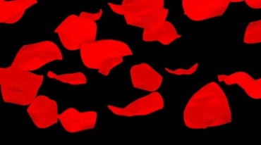 红色花瓣黑屏抠像特效视频素材