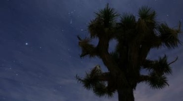 夜空星空星光延时摄影美景视频素材