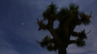 夜空星空星光延时摄影美景视频素材