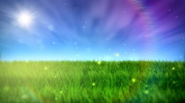 绿色草地风吹小草梦幻粒子飞舞视频素材