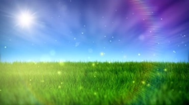 绿色草地风吹小草梦幻粒子飞舞视频素材
