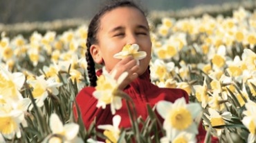 小女孩闻花香躺在花丛里视频素材