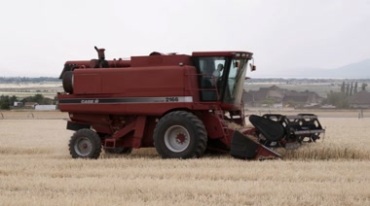 农业机械收割机割麦子视频素材