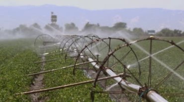 农业农田喷水灌溉浇地洒水视频素材