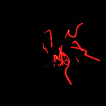 红色火蛇游动银蛇乱舞黑屏抠像特效视频素材