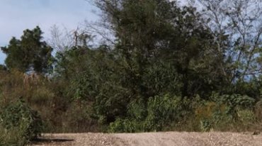 极限运动越野山地摩托车飞越视频素材