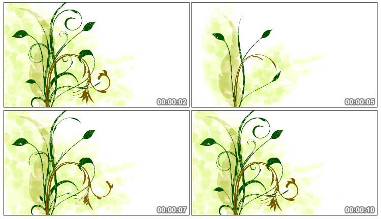 绿色植物枝条花枝开花生长视频素材