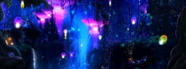 海底水母荧光意境唯美丛林梦幻场景视频素材