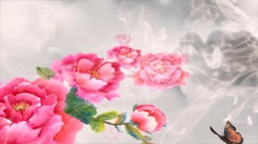 国画牡丹蝴蝶飞大红牡丹花开视频素材
