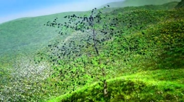 超美3D小树动态生长过程视频素材