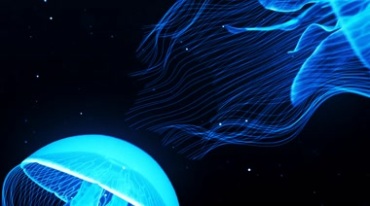 海洋发光水母深海蓝光水母游动视频素材