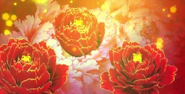 牡丹花开图案屏风中国风视频素材