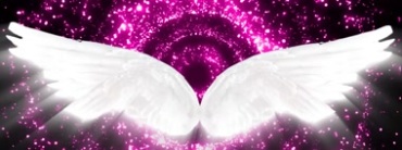 白天使羽毛翅膀视频素材