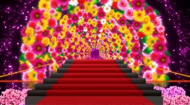 绚丽花朵拱门红地毯视频素材