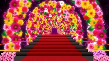 绚丽花朵拱门红地毯视频素材