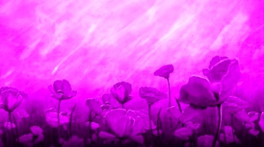粉色油彩花朵开花油墨花儿盛开视频素材