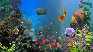 唯美海底鱼儿珊瑚水草气泡美景视频素材