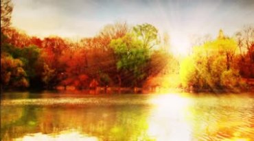 金色阳光光芒湖水湖面树林美景视频素材