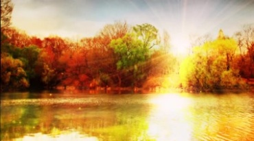 金色阳光光芒湖水湖面树林美景视频素材