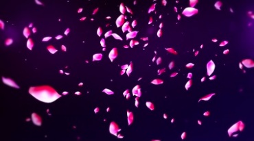 红色花瓣飘落唯美背景视频素材